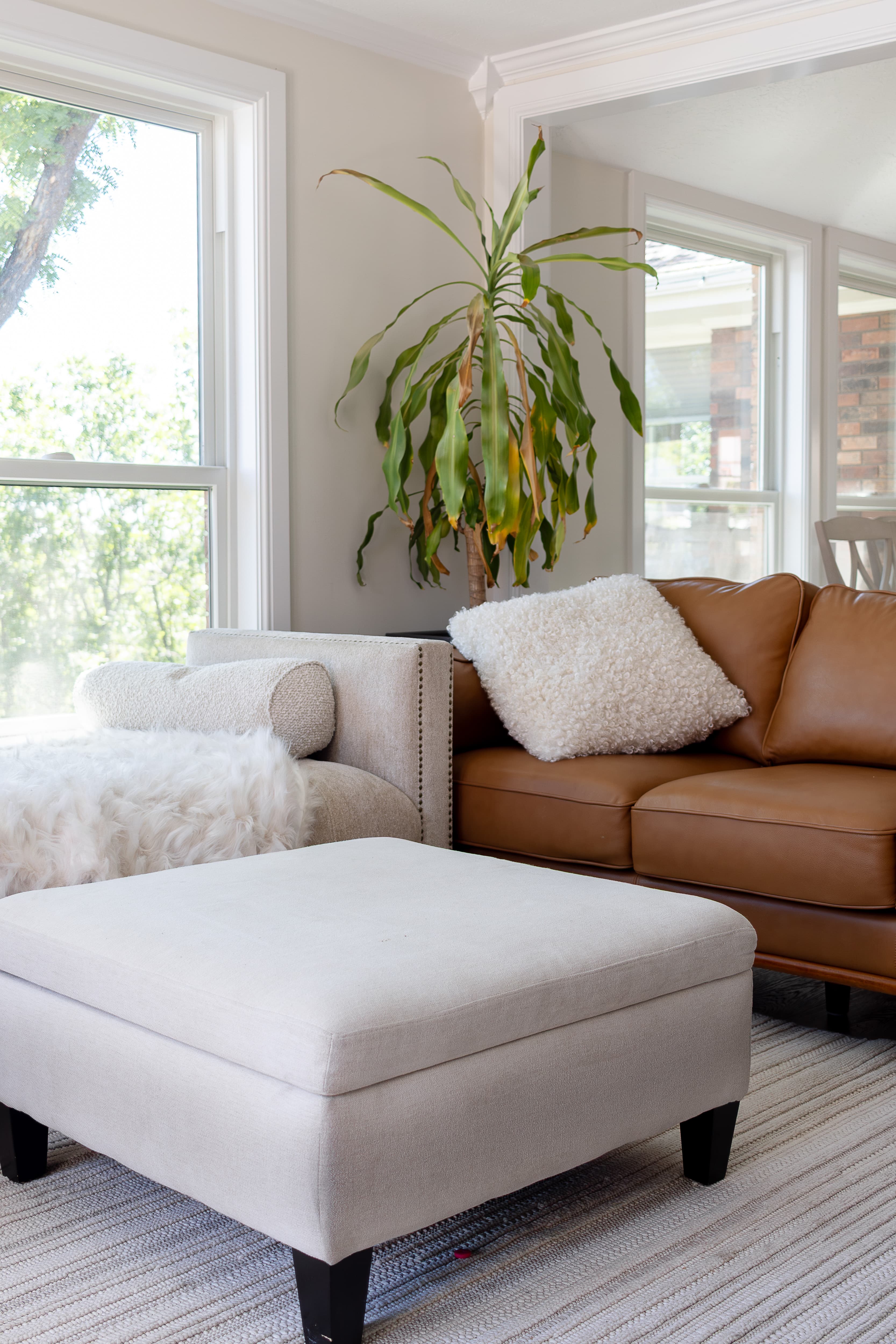 Person vacuuming couch