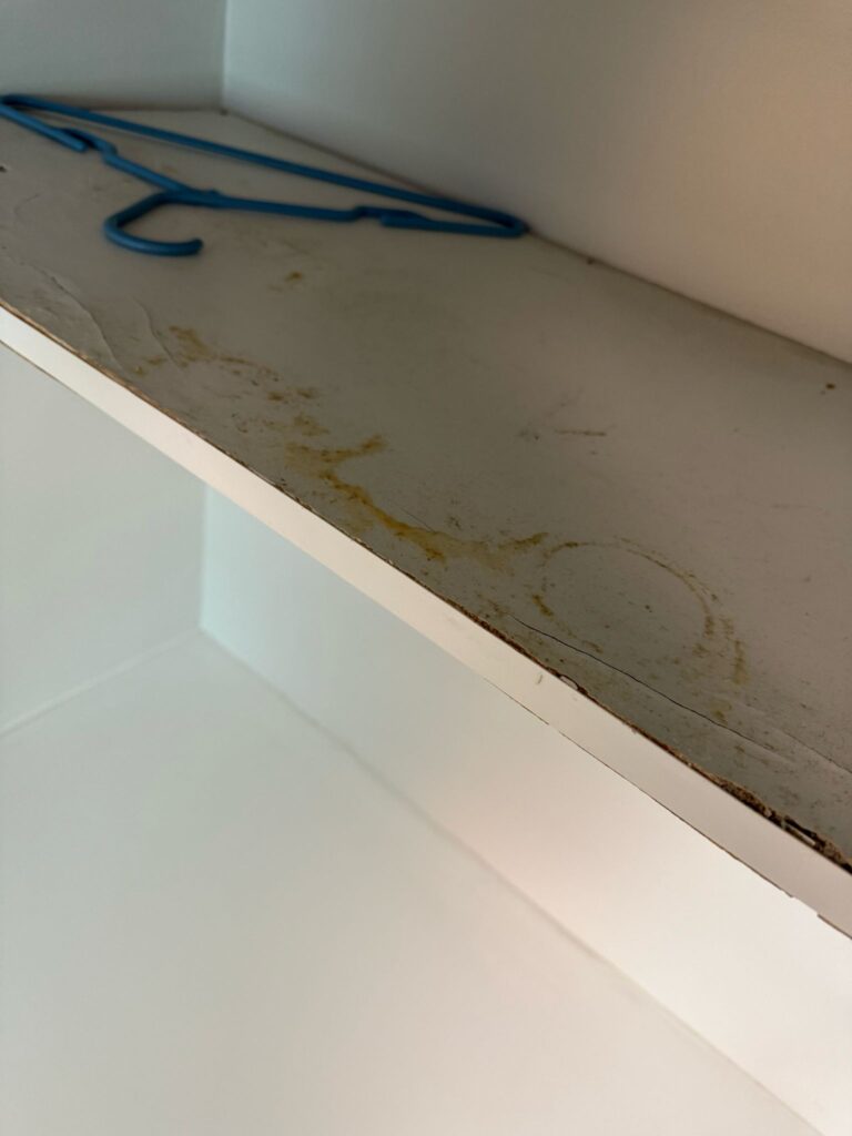 Closet shelving - before cleaning