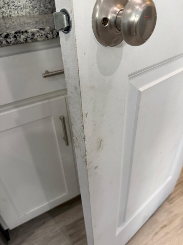 Interior door and frame - before cleaning